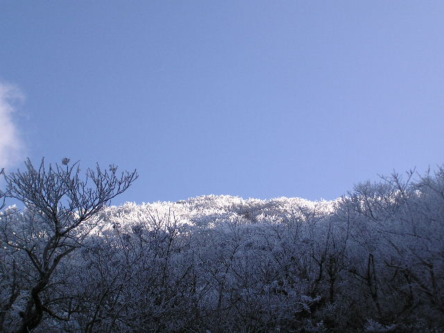 c0042869_2229933.jpg