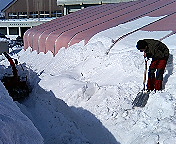 c0027383_13221987.jpg