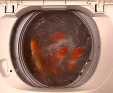 ウンコー 三毛猫様の部屋