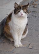 c0010496_833315.jpg
