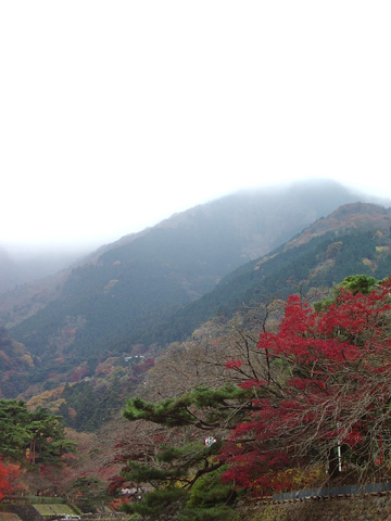 岐阜県　養老公園サイクリング_b0069815_1571767.jpg