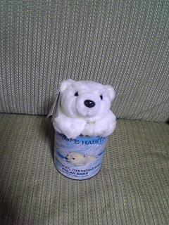b0020695_8583826.jpg