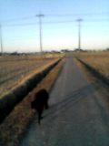 c0040702_22393775.jpg