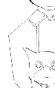 b0048883_0431292.gif