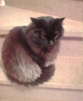 c0003723_9165782.jpg