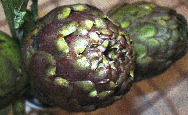 c0021376_22103.jpg