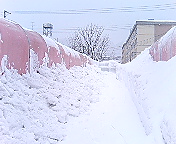 c0027383_15143085.jpg