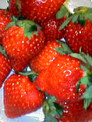 fruit_c0003887_2384137.jpg