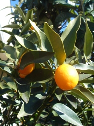 c0046281_1942236.jpg