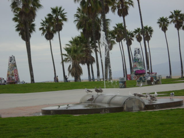 c0048504_1353782.jpg