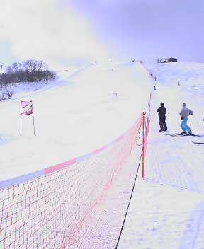c0014906_22272045.jpg