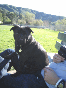b0035453_15532850.gif