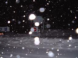 c0009287_2258420.jpg