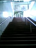 a0021702_22241720.jpg