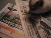 今日も安寧_c0006826_7493637.jpg