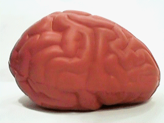 a0000535_1214331.gif