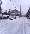 b0012252_15321223.gif