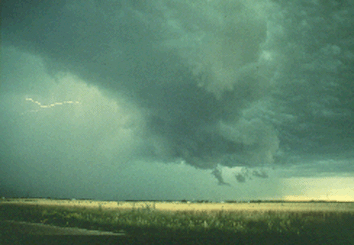 a0028694_18521665.gif