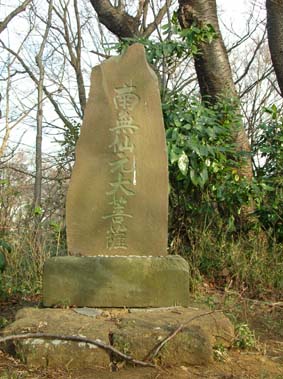健やかに育つ花の匂いのするキャベツ_c0014967_20193823.jpg