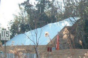 b0025371_19324.jpg
