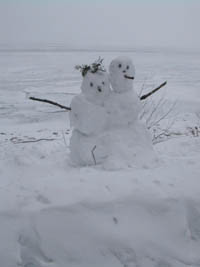 ★赤い雪・青い雪の謎⇒なぜ色つきの雪が降るのか?_a0028694_15097.jpg
