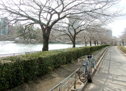 c0015099_222312.jpg