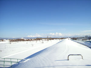 c0033513_0311220.jpg