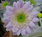 b0043525_1857391.jpg