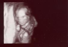 c0012043_0422995.jpg