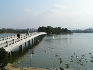 c0048290_20241572.jpg