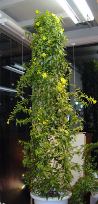a0001354_2048179.jpg