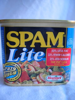 SPAM Musubi_b0058765_935439.jpg