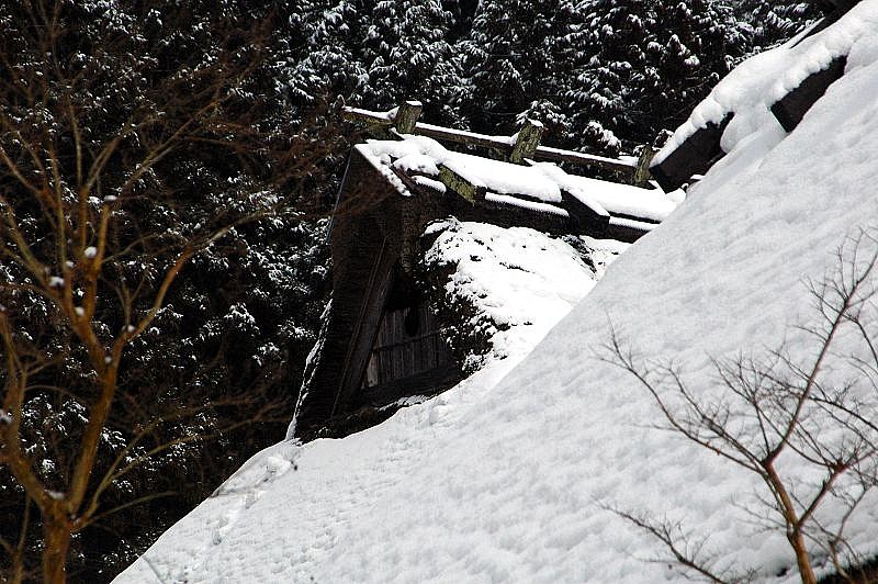 雪のからぶき屋根_c0032373_1145114.jpg