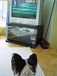 映らなかったテレビ_c0048940_1673447.jpg