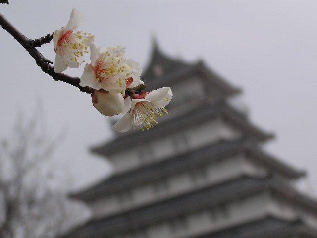 c0042869_22172637.jpg