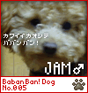 c0025975_12212930.gif