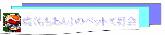 c0055581_2375556.gif