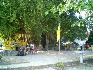 #013 ワット・バーン・クン(วัดบางกุ้ง) ~サムットソンクラーム~_c0039685_2120061.jpg