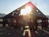 c0052304_78812.jpg