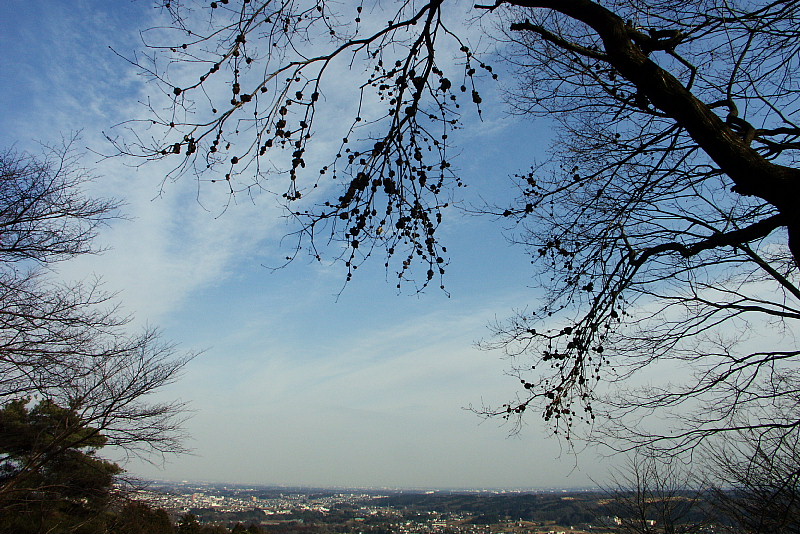 巾着田と日和田山_b0010915_22585314.jpg