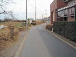 c0001653_1114661.jpg