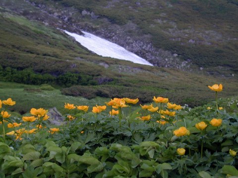 水源の風景〜7月の大雪山_b0068572_11483810.jpg