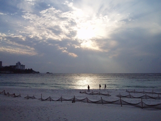 a0027720_15535463.jpg
