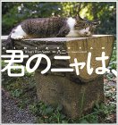 君のニャは?_c0016141_21515098.jpg