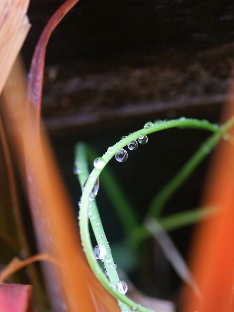 霧雨の中で　（０５．２／１６）_b0021244_212114.jpg