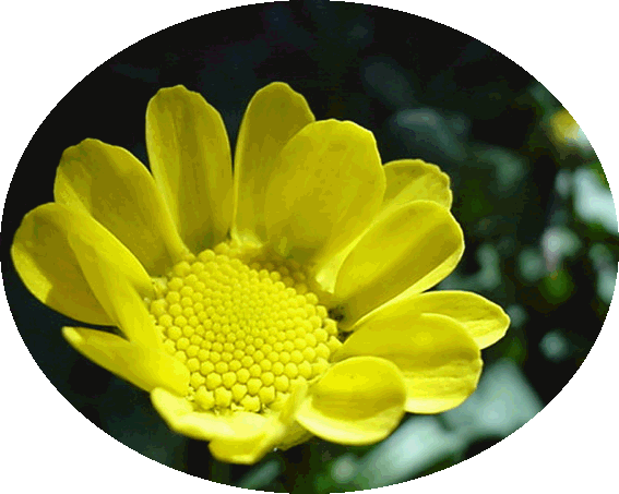 b0017645_0203651.gif
