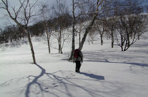 b0068572_0185381.jpg