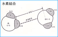 b0062495_0572118.jpg