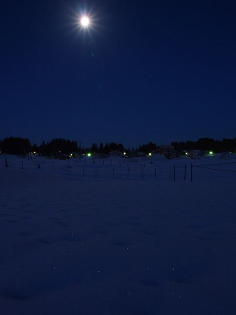 天上の月、雪上の星_a0025569_2224855.jpg