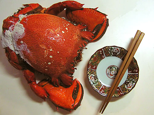沖縄のカニ Kaho S Photo Diary 2 沖縄のカニ Kaho S Photo Diary 2